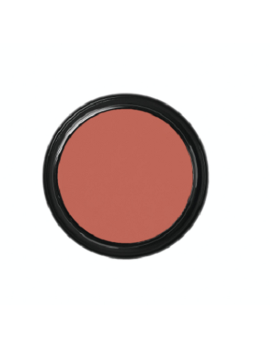 Blanc de clown  CW2 49g BEN NYE
