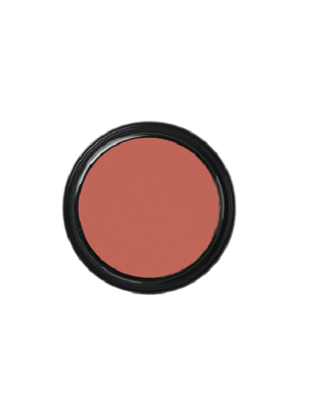 Blanc de clown  CW2 49g BEN NYE