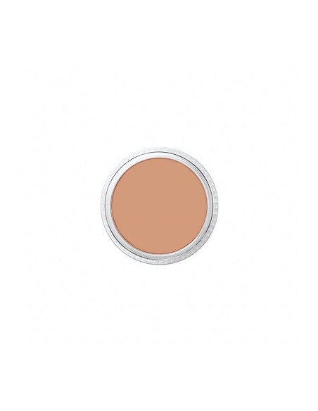 Correcteur NT1 tatoo cover 8.5g BEN NYE