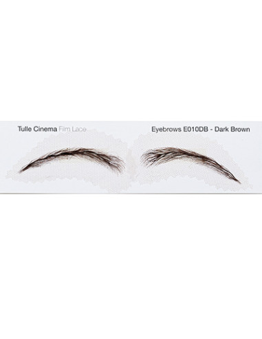 Eyebrow E10 dark brown NUMERIC PROOF