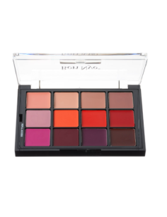 Palette berry bright lip  STP390 x 12 couleurs 16g BEN NYE