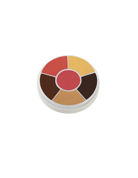 Kit x 6 couleurs CBW5 brown 28g BEN NYE