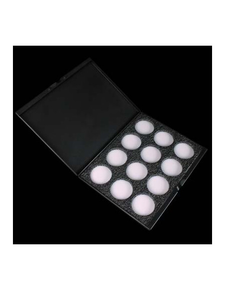 Palette paradise vide x12 couleurs MEHRON 