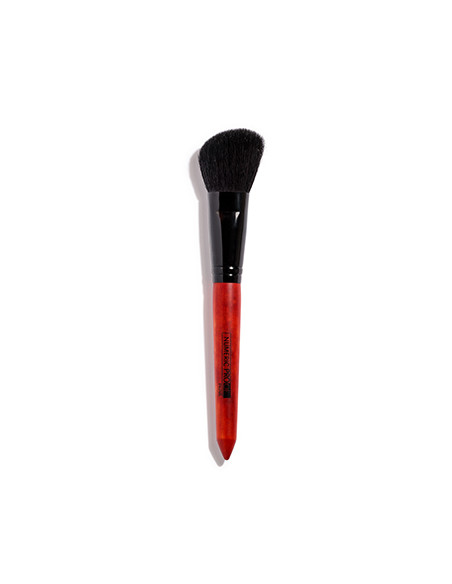 pinceau N°14 blush biseauté chèvre student NUMERIC PROOF
