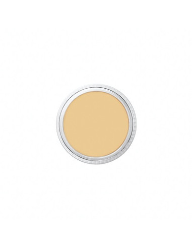 Correcteur mojave SC18 burnt  brown 8.5g BEN NYE