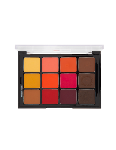 Palette medium to dark matte teint STP13 x12 couleurs 25gr  BEN NYE 