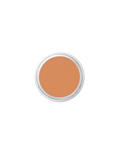 Correcteur FS1 studio beard cover 8.5g BEN NYE