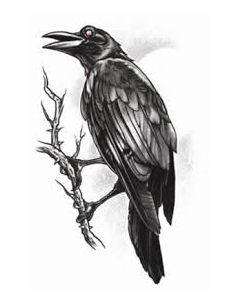 Tatouage gothic the raven TINSLEY 