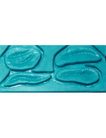 Moule prothèse 1B kéloid scar  MEL PRODUCTION