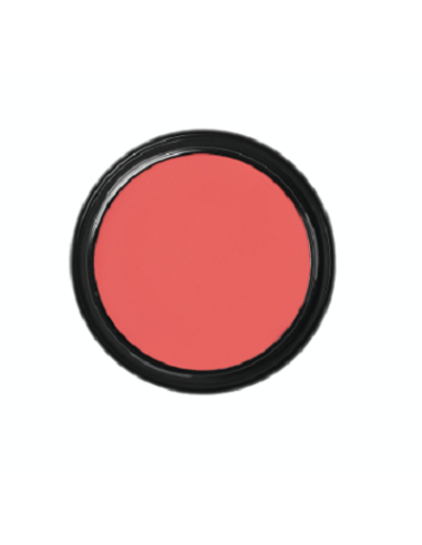 Blanc de clown  CW2 49g BEN NYE