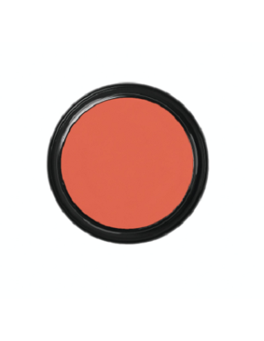 Blanc de clown  CW2 49g BEN NYE