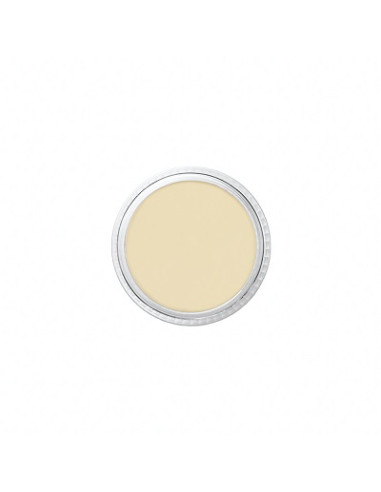 Correcteur HY1yellow highlight 8.5g BEN NYE