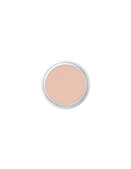 Correcteur NT1 tatoo cover 8.5g BEN NYE