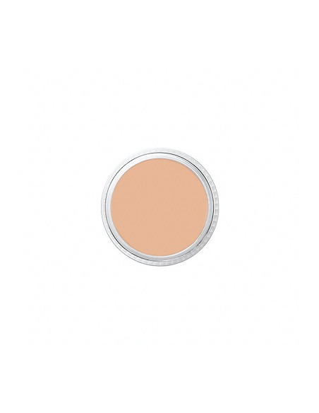 Correcteur NT1 tatoo cover 8.5g BEN NYE