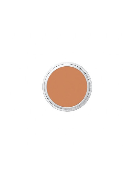 Correcteur NT1 tatoo cover 8.5g BEN NYE