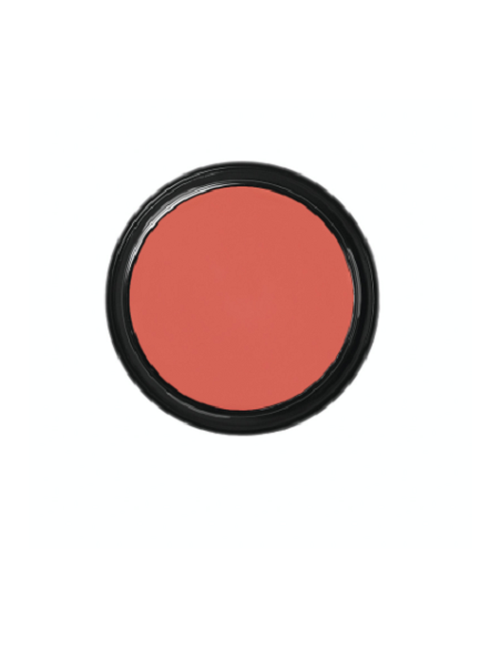 Blanc de clown  CW2 49g BEN NYE