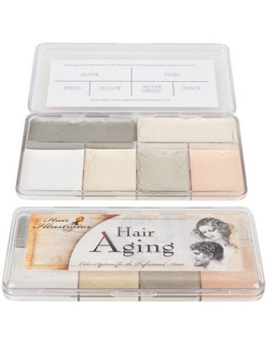 Palette Hair Aging x6 couleurs SKIN ILLUSTRATOR