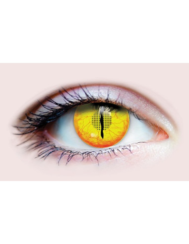 Lentilles de contact costume/jurassic I PRIMAL 