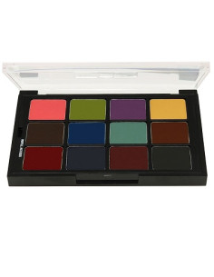 Palette essentielle FX STP41 x12 colors 26g BEN NYE 
