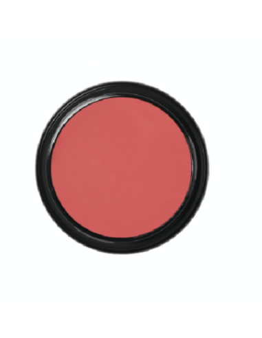 Blanc de clown  CW2 49g BEN NYE