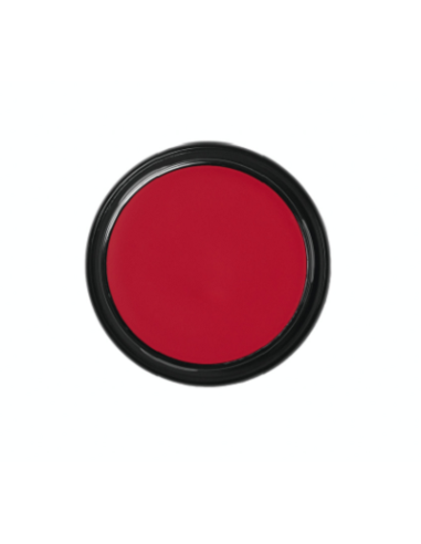 Blanc de clown  CW2 49g BEN NYE