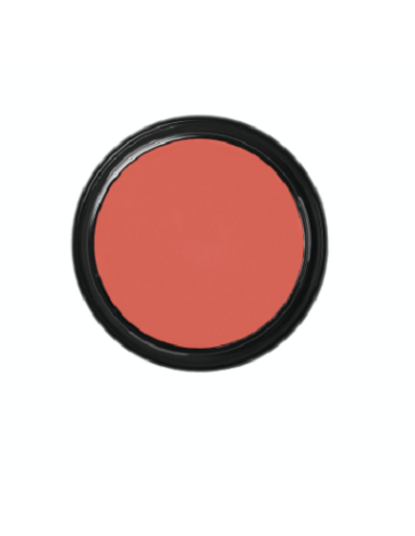 Blanc de clown  CW2 49g BEN NYE