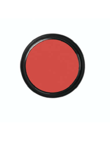 Blanc de clown  CW2 49g BEN NYE