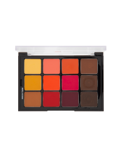 Palette medium to dark matte teint STP13 x12 couleurs 25gr  BEN NYE 
