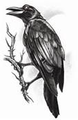Tatouage gothic the raven TINSLEY 