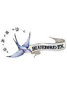 BLUEBIRD